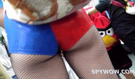 ANGRY BIRD STARE DOWN